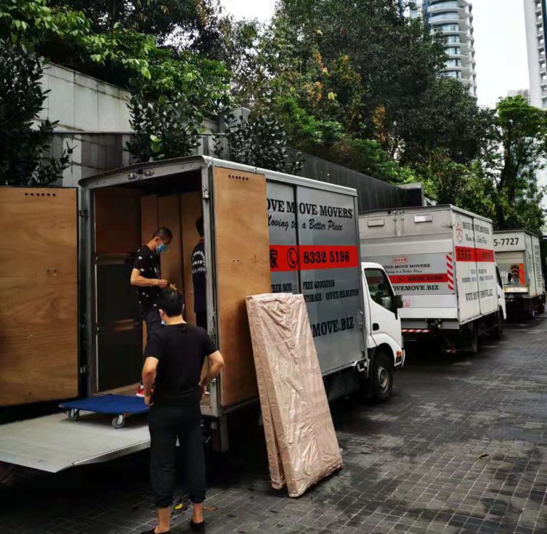 Move Move Movers crew and wrapped furniture beside lorries at a driveway