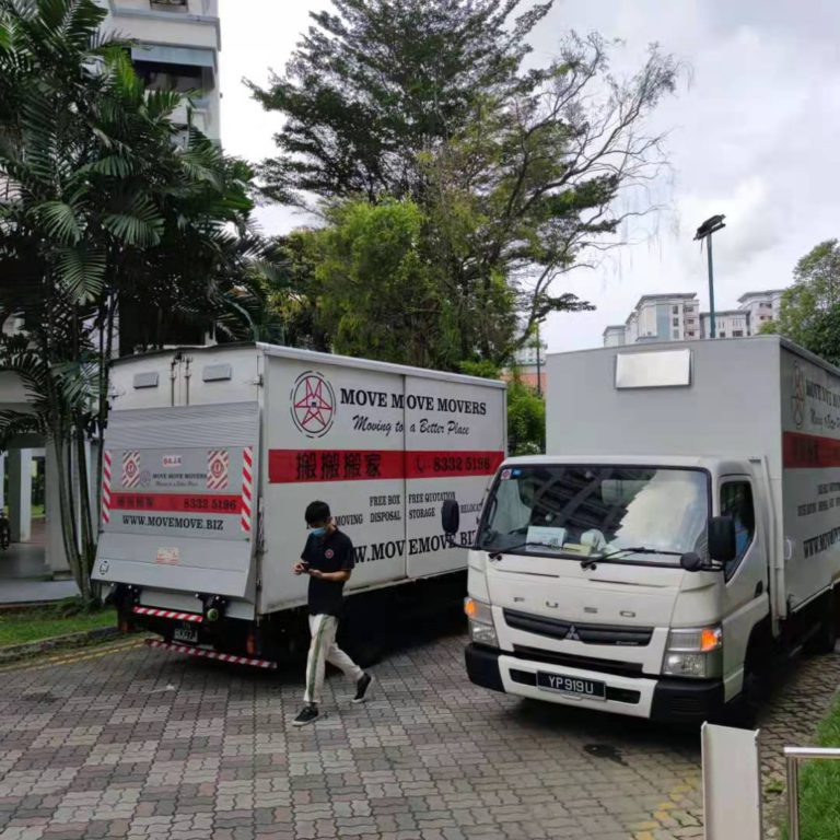 Move Move Movers lorries parked outside a residential property
