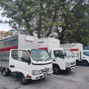 Singapore professional mover company