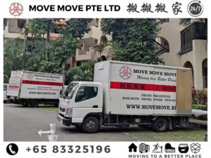 Singapore best mover company