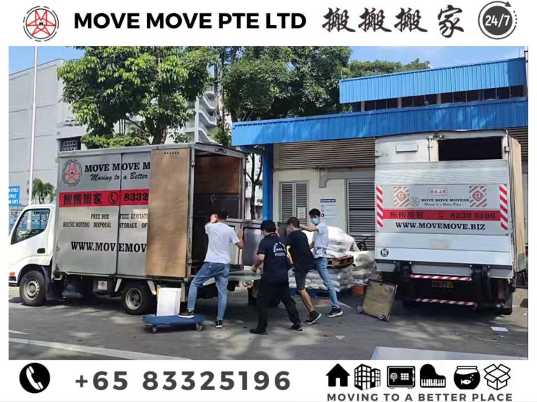 Move Move Movers crew loading a wrapped item between branded lorries