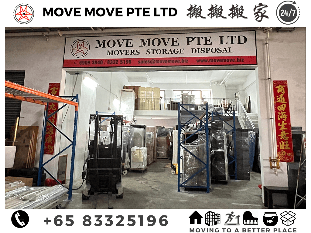 Singapore best storage service