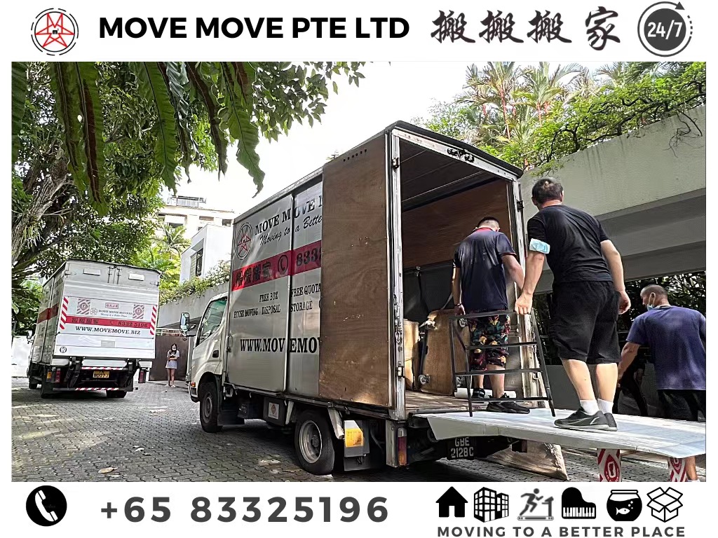 Professional moving services Singapore