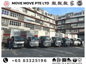 mover Services