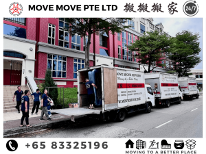 Move Move Movers team providing night-time moving services