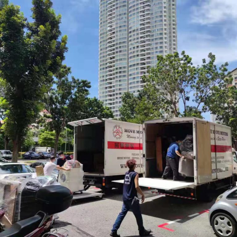 Move Move Movers using tailgate lorries to move large items