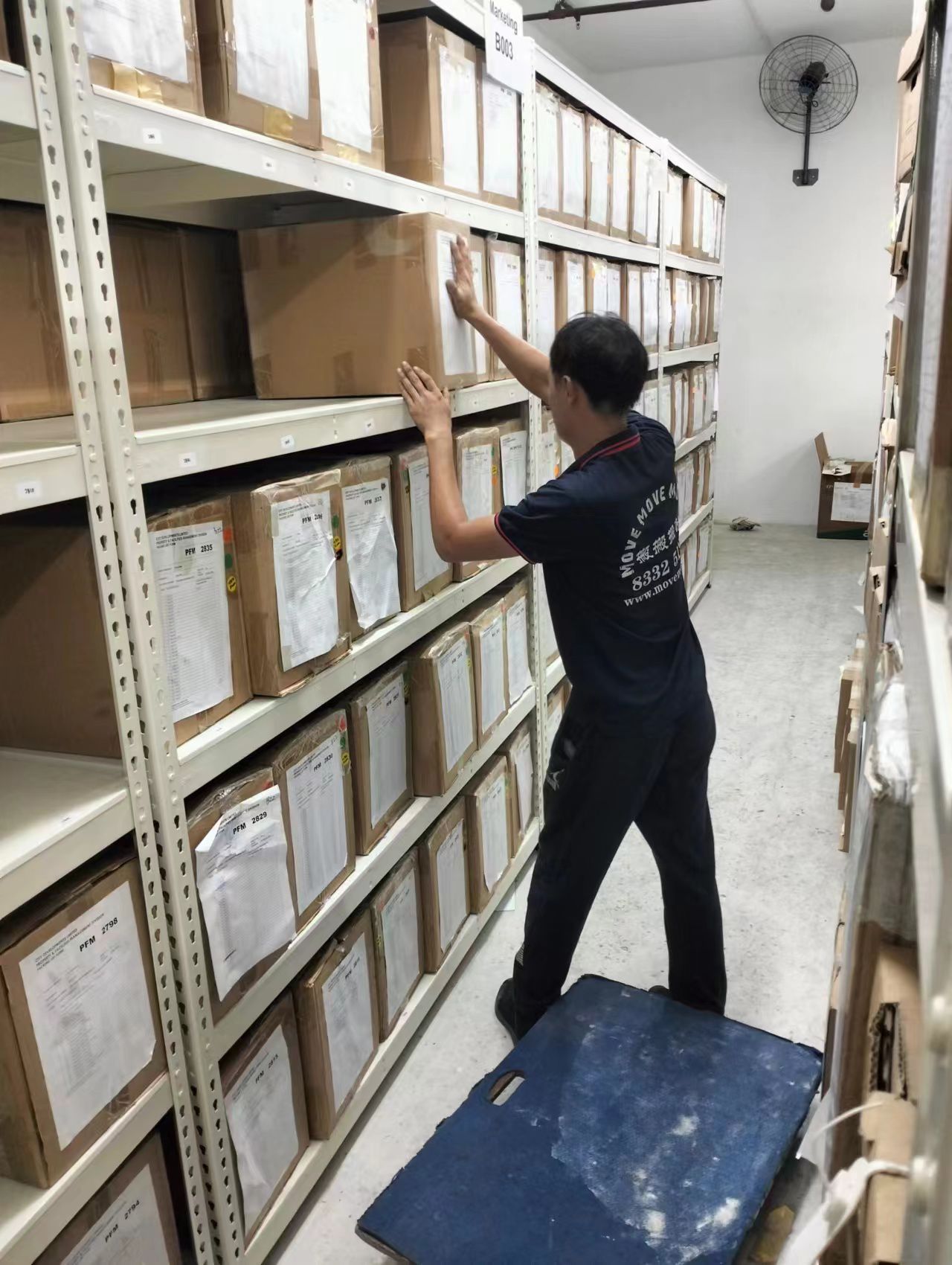 Mover placing labeled cartons onto metal archive storage shelves